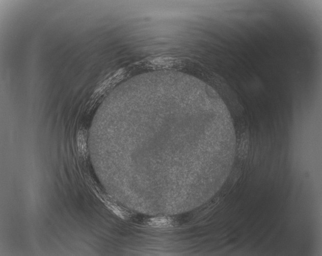 X0000085020335200704021434