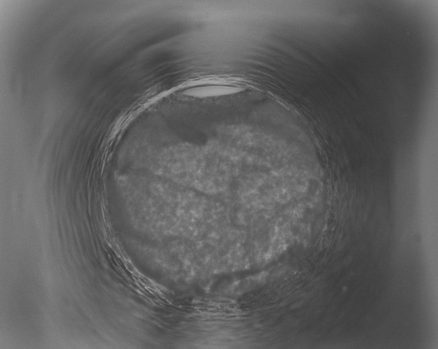 X0000085020337200704021433
