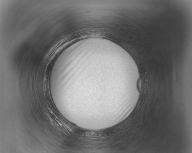 X0000085020338200704021433