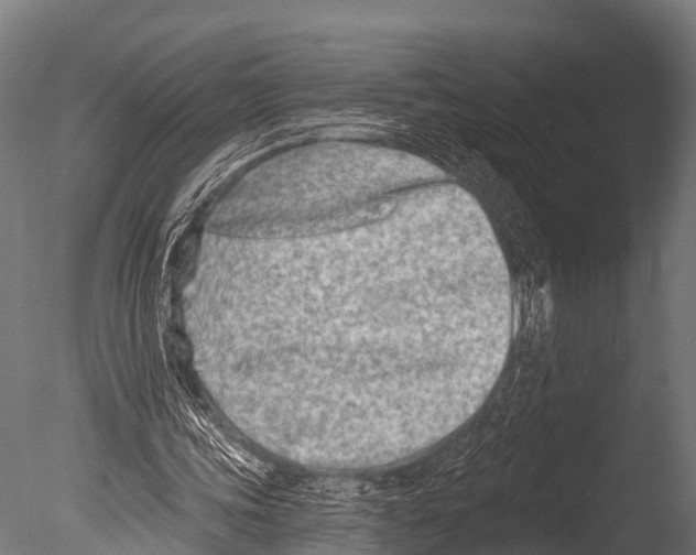 X0000085020339200704021433