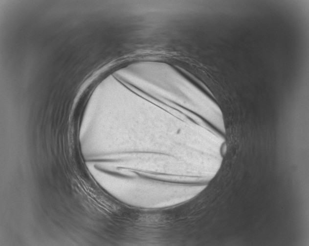 X0000085020342200704021433