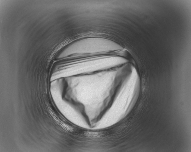 X0000085020349200704021433
