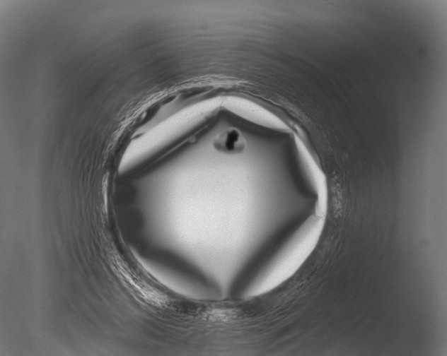 X0000085020350200704021433