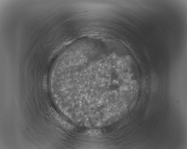 X0000085020353200704021433