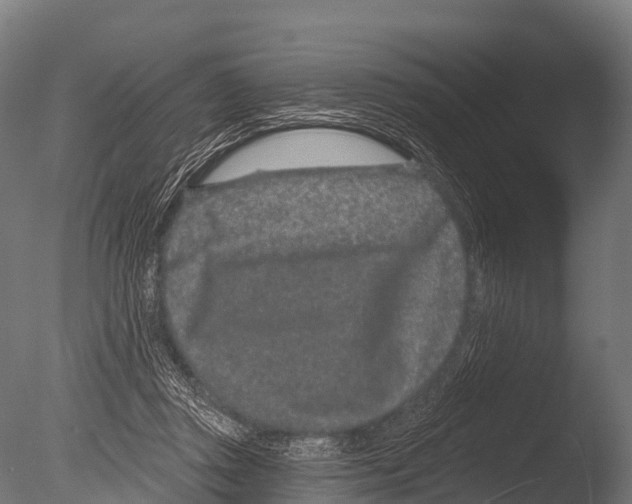 X0000085020357200704021433