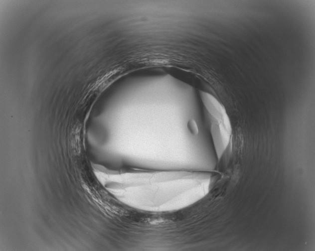 X0000085020360200704021433