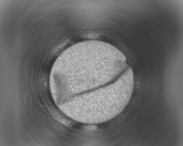 X0000085020374200704021433