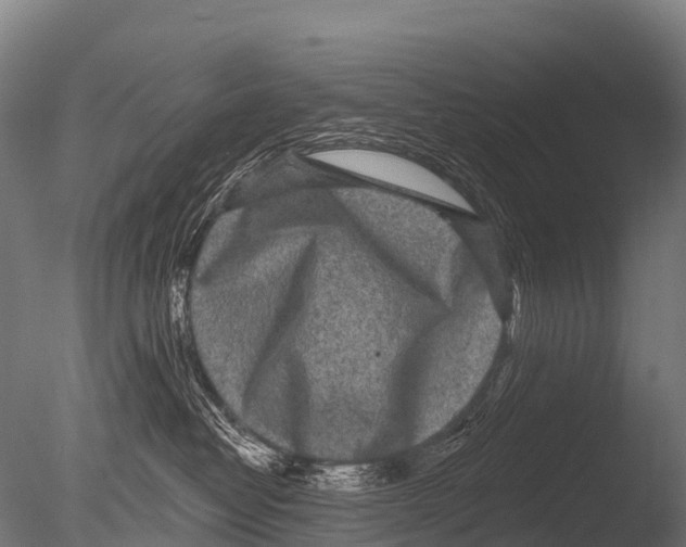 X0000085020382200704021434