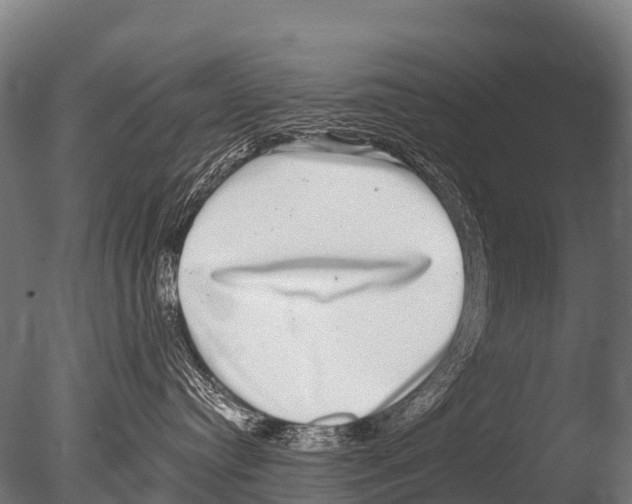 X0000085020384200704021434