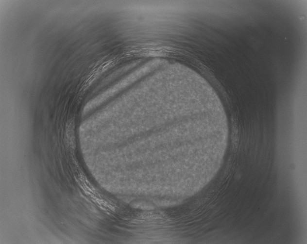 X0000085020386200704021433