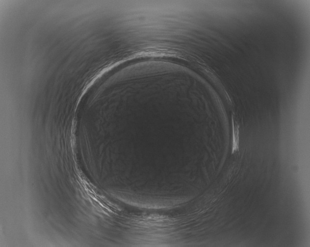 X0000085020387200704021433