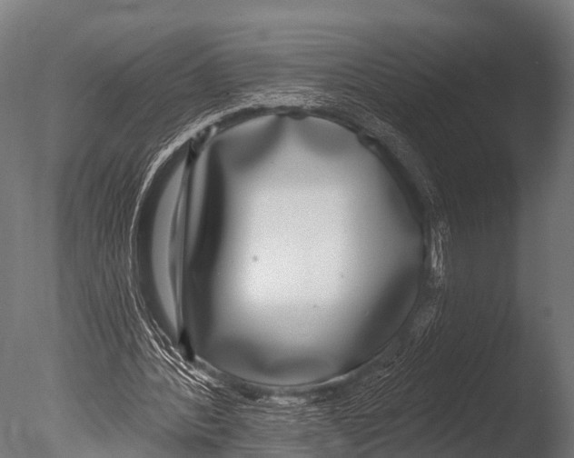 X0000085020388200704021433