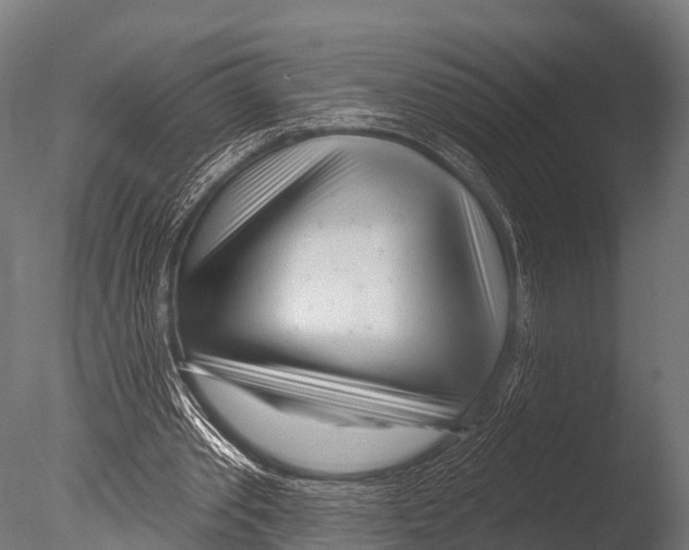 X0000085020389200704021433