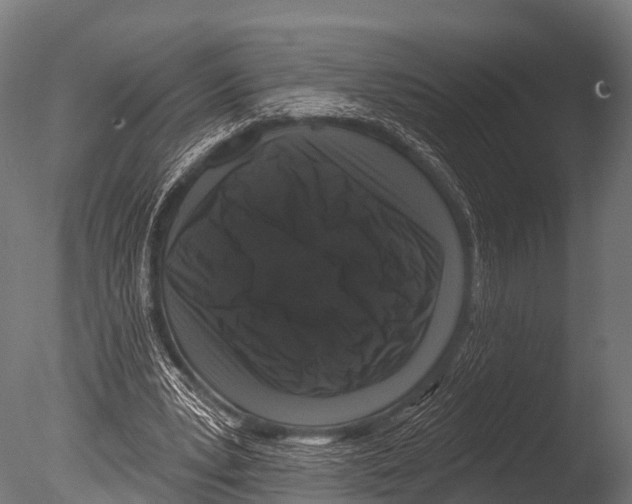 X0000085020391200704021433