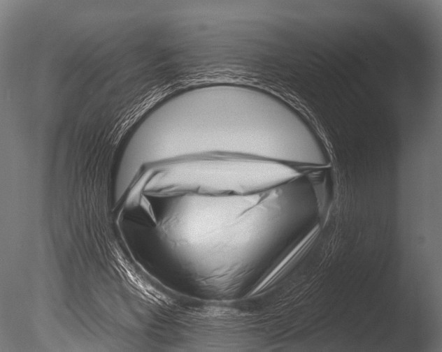 X0000085020393200704021433