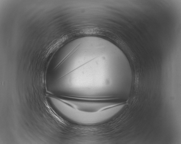 X0000085020397200704021433