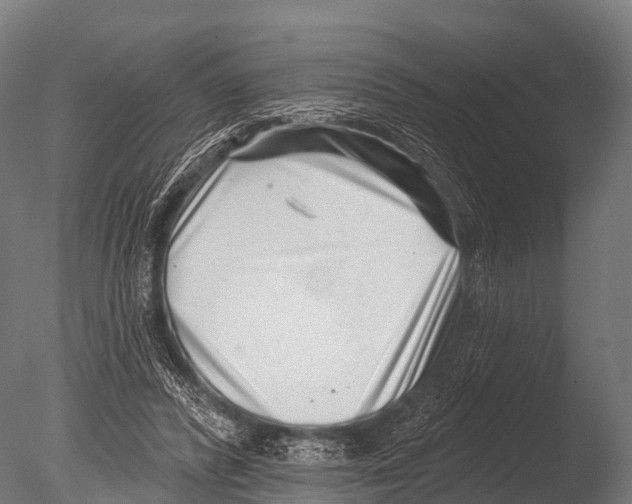 X0000085020400200704021433