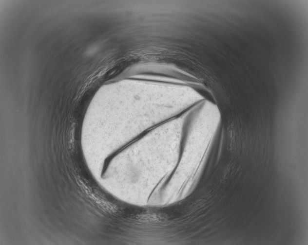 X0000085020404200704021432