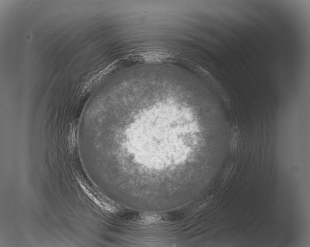 X0000085020405200704021432