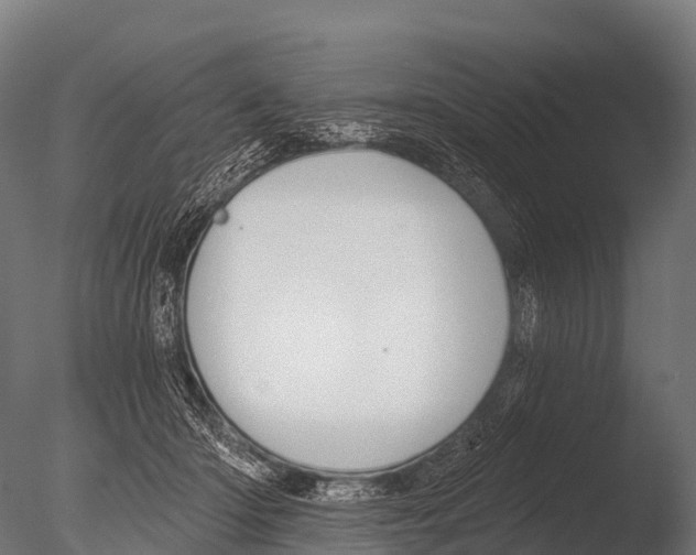 X0000085020414200704021432
