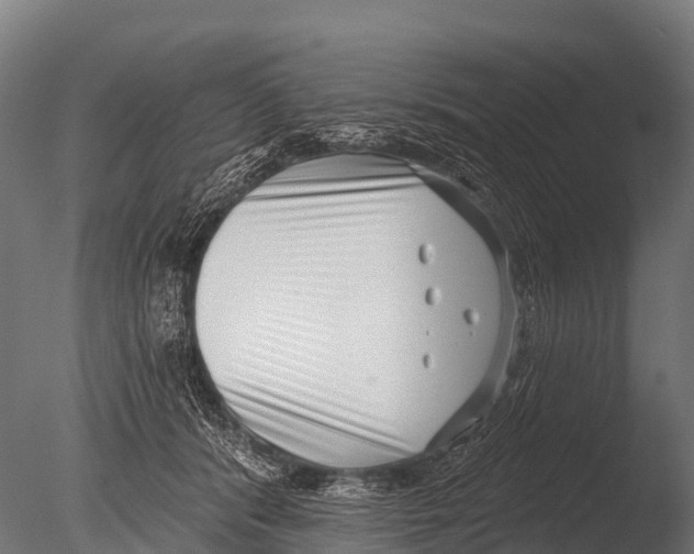X0000085020416200704021432