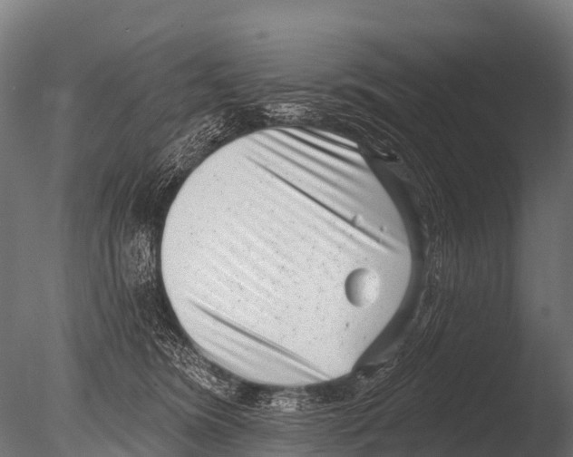 X0000085020420200704021432