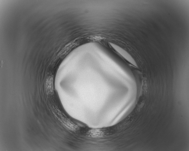 X0000085020425200704021432