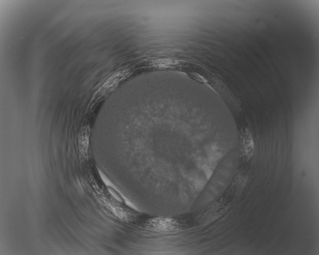 X0000085020427200704021432