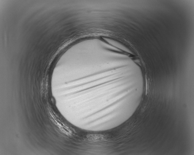 X0000085020435200704021431