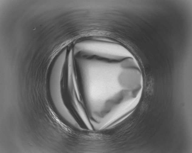 X0000085020437200704021431
