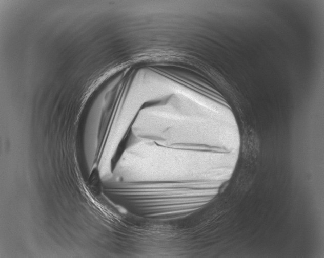 X0000085020438200704021431
