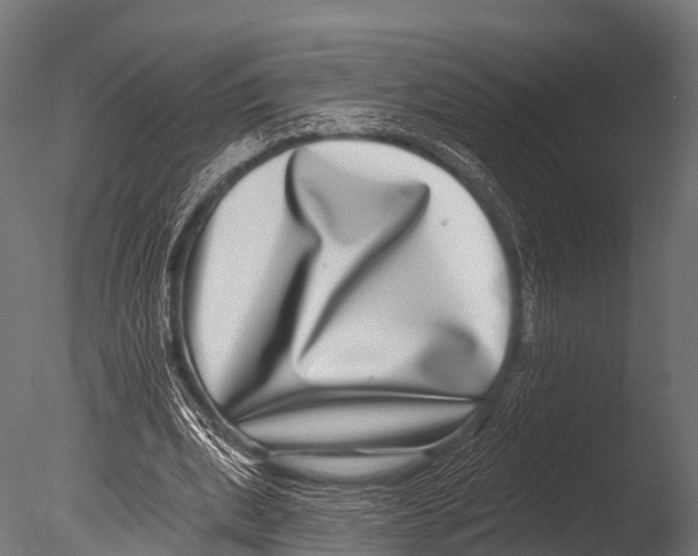 X0000085020439200704021431