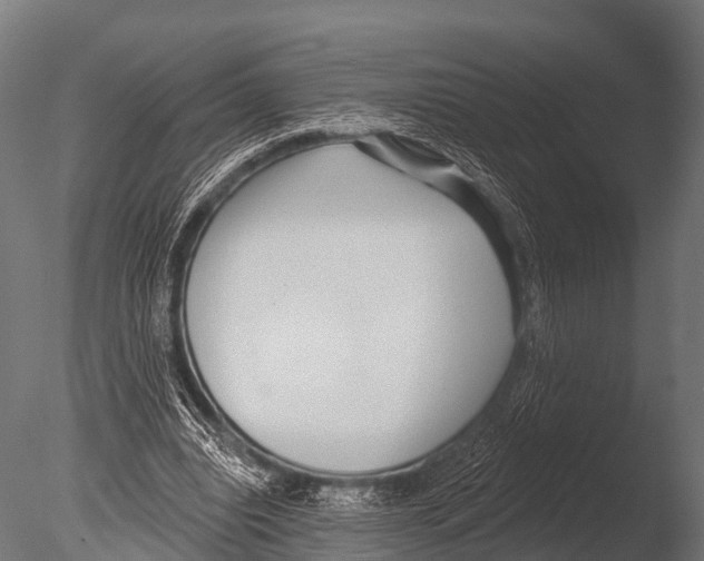 X0000085020440200704021431