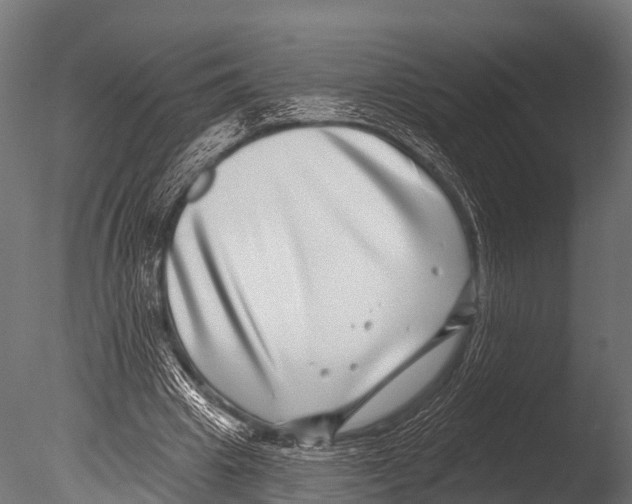 X0000085020441200704021431