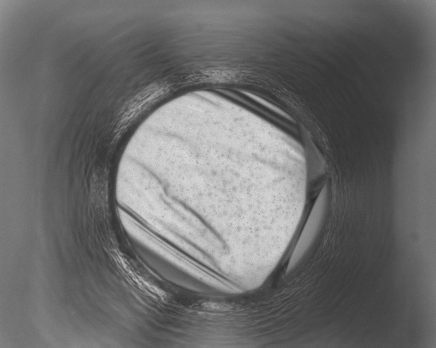 X0000085020442200704021431