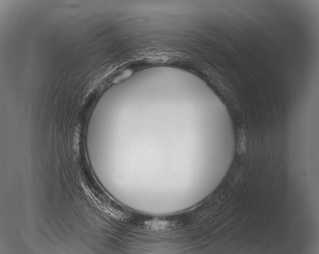 X0000085020448200704021431