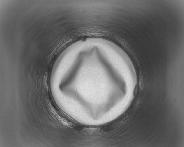 X0000085020449200704021431