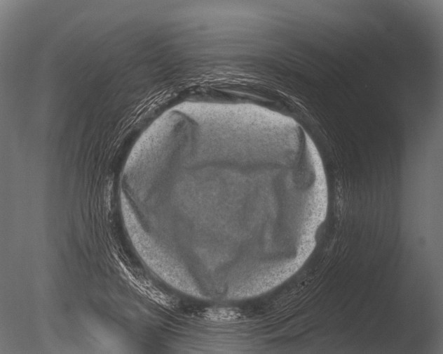 X0000085020451200704021431