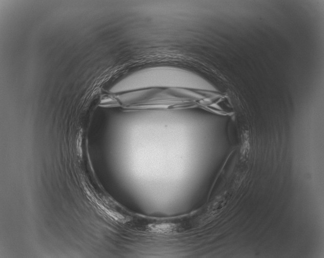 X0000085020452200704021431
