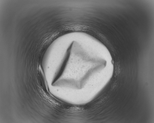 X0000085020453200704021432
