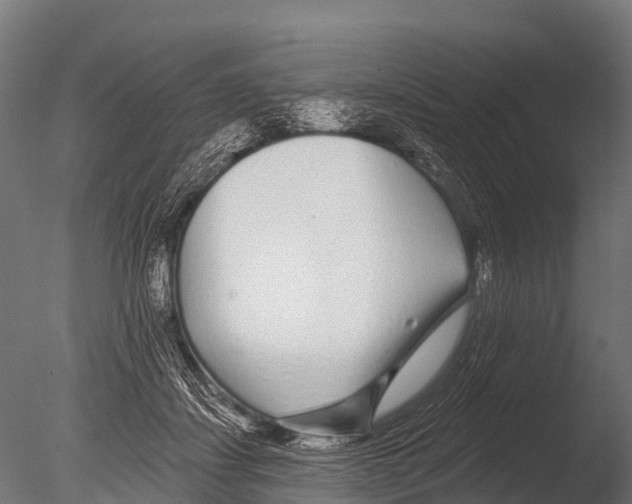 X0000085020459200704021432