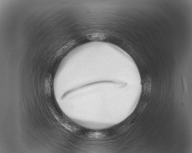 X0000085020460200704021432