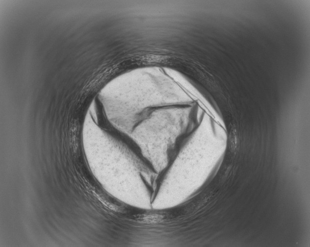 X0000085020462200704021432