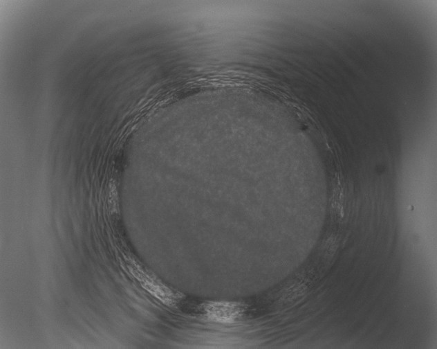 X0000085020465200704021432