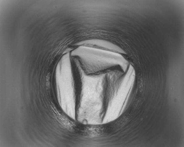 X0000085020466200704021432