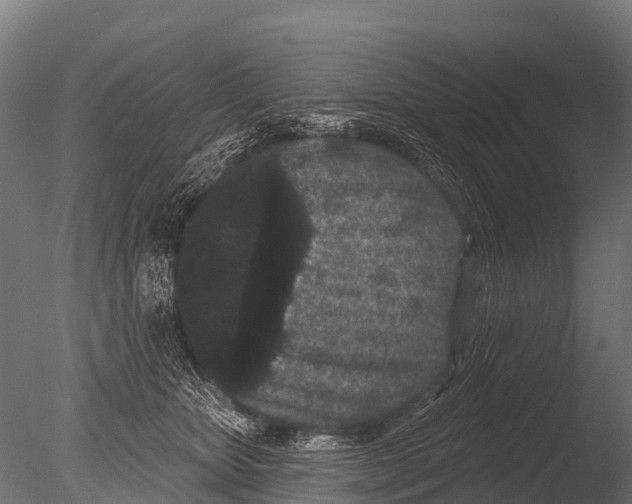 X0000085020467200704021432