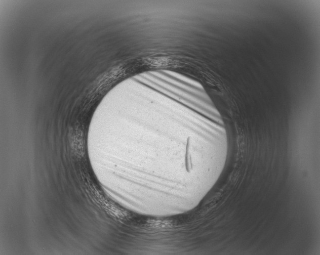 X0000085020469200704021432