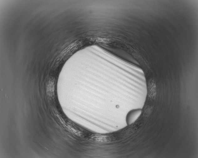 X0000085020472200704021432