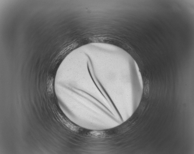 X0000085020477200704021432
