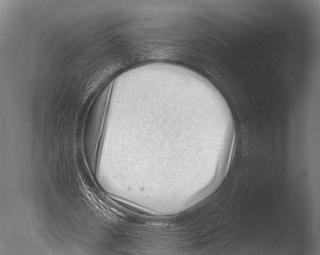 X0000085020482200704021431